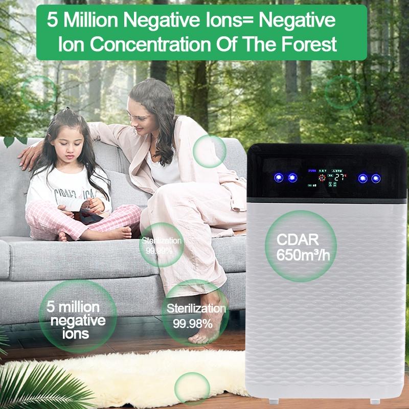 Purificatore d'Aria 30W per Casa a Ioni Negativi Rimozione Fumo Interno Oltre a Formaldeide De-appannamento Rimozione Odori Purificatore d'Aria