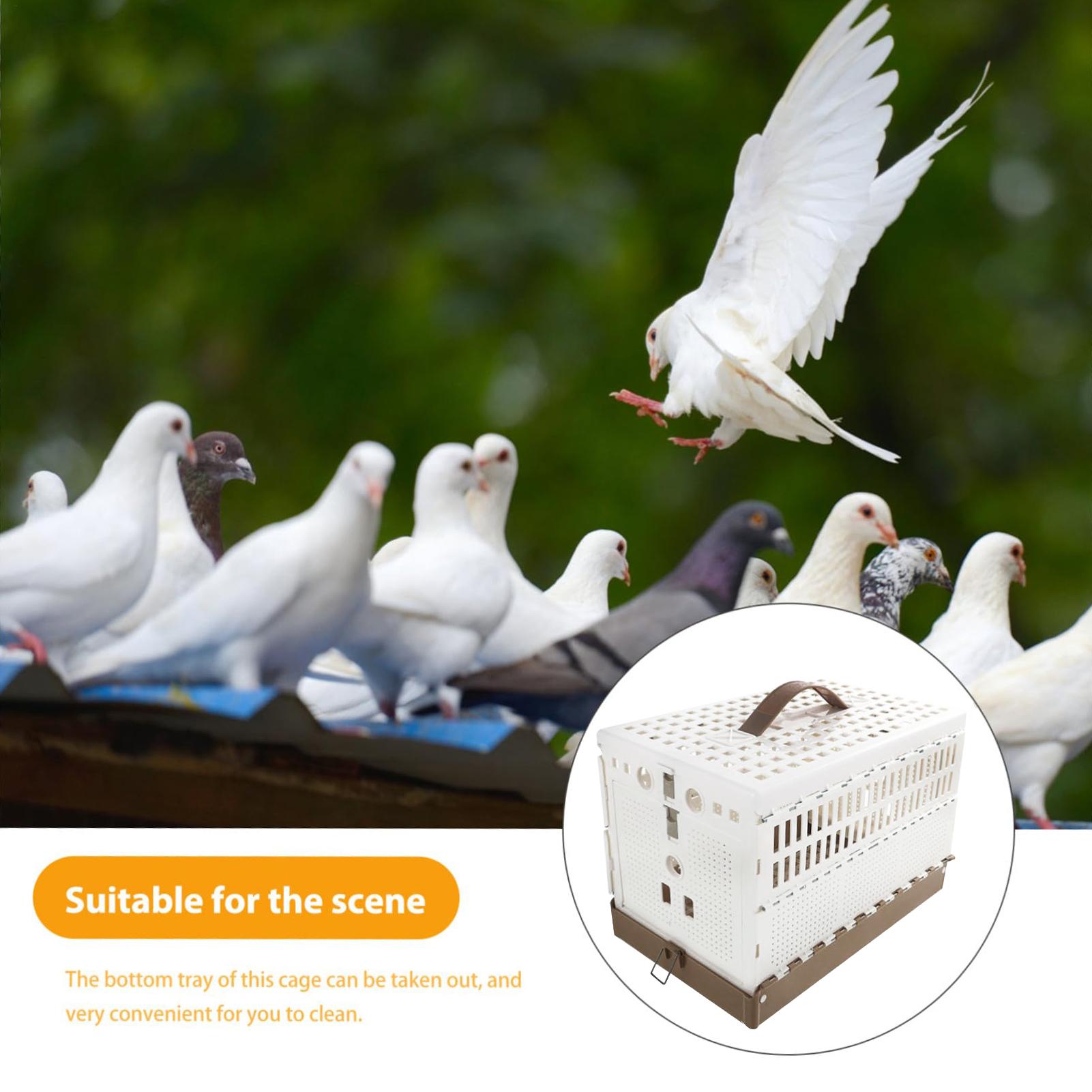

Cockatiel Cage Double-Lock Foldable Cage Bird Domestication Carrier For Indoor Outdoor Transport Yard Training Domestication CHINA
