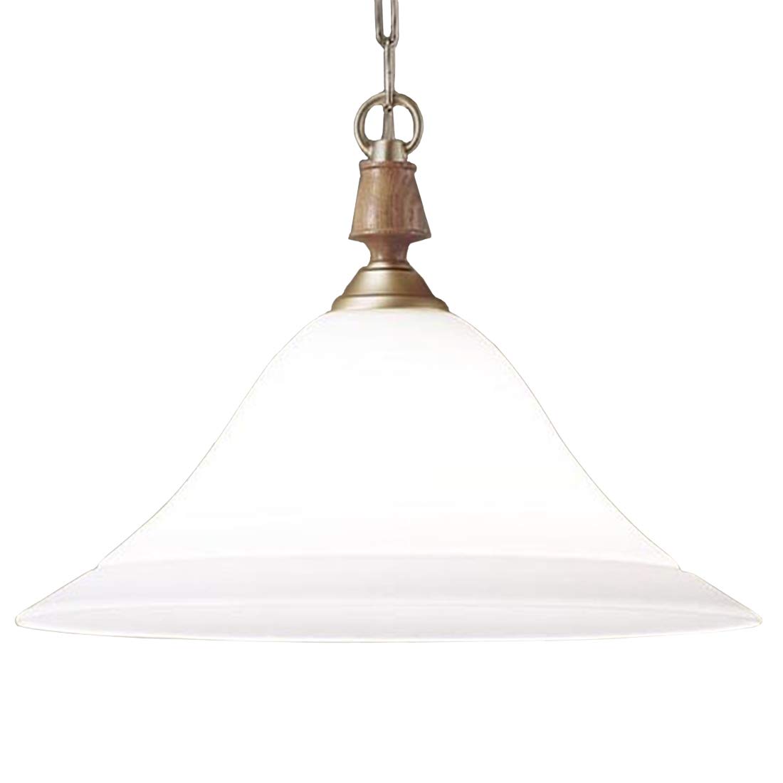 Panasonic Large Pendant Light PIENETTA LGB15095 U Light Type Gold Matte Finish Depth 45cm Height Width 45cm Body Body 32.5cm Body