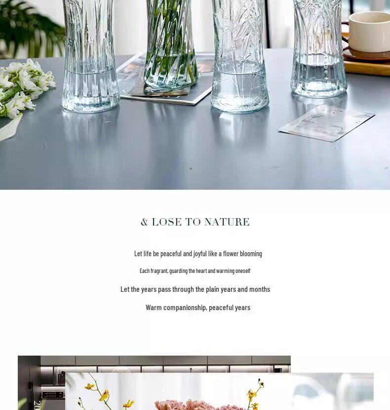 Extra Large Transparent Glass Vase for Hydroponic Bamboo & Fresh Flower Arrangements