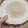 Natural Log Slice Piece Cup Mat Coaster Tea Coffee Mug Round Holder Creative Wood Hand Painted Photo Shooting Props, Multiple Size for Choice