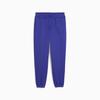 Puma ELEVATED ESS COMFORT Women's Sweatpants Purple 68864927 R L