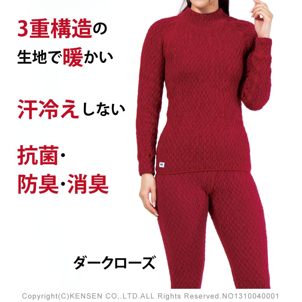 Hidamari Everest Thermal Dark Gray Women's High-Neck Shirt, Innerwear, Sapium, Triple-Layer Construction, Medium, [EVNS841-DGY]