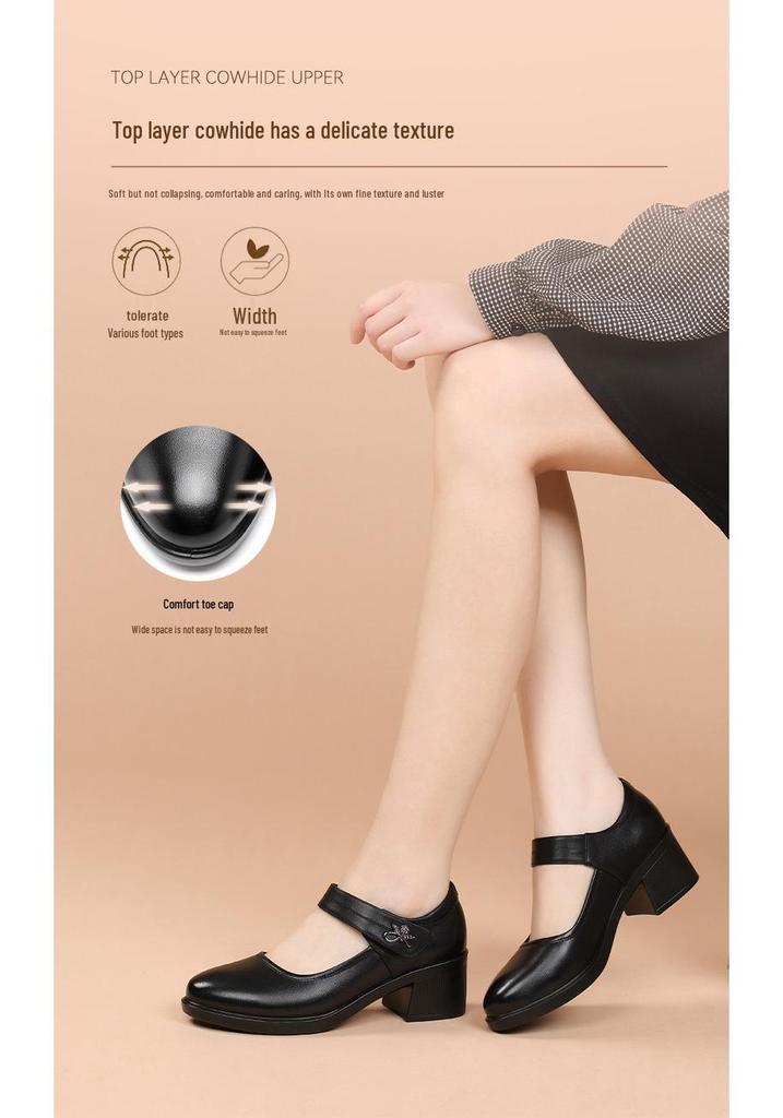 Red Dragonfly Women's Mary Jane Summer High Heels: Thick Sole Leather Casual Shoes