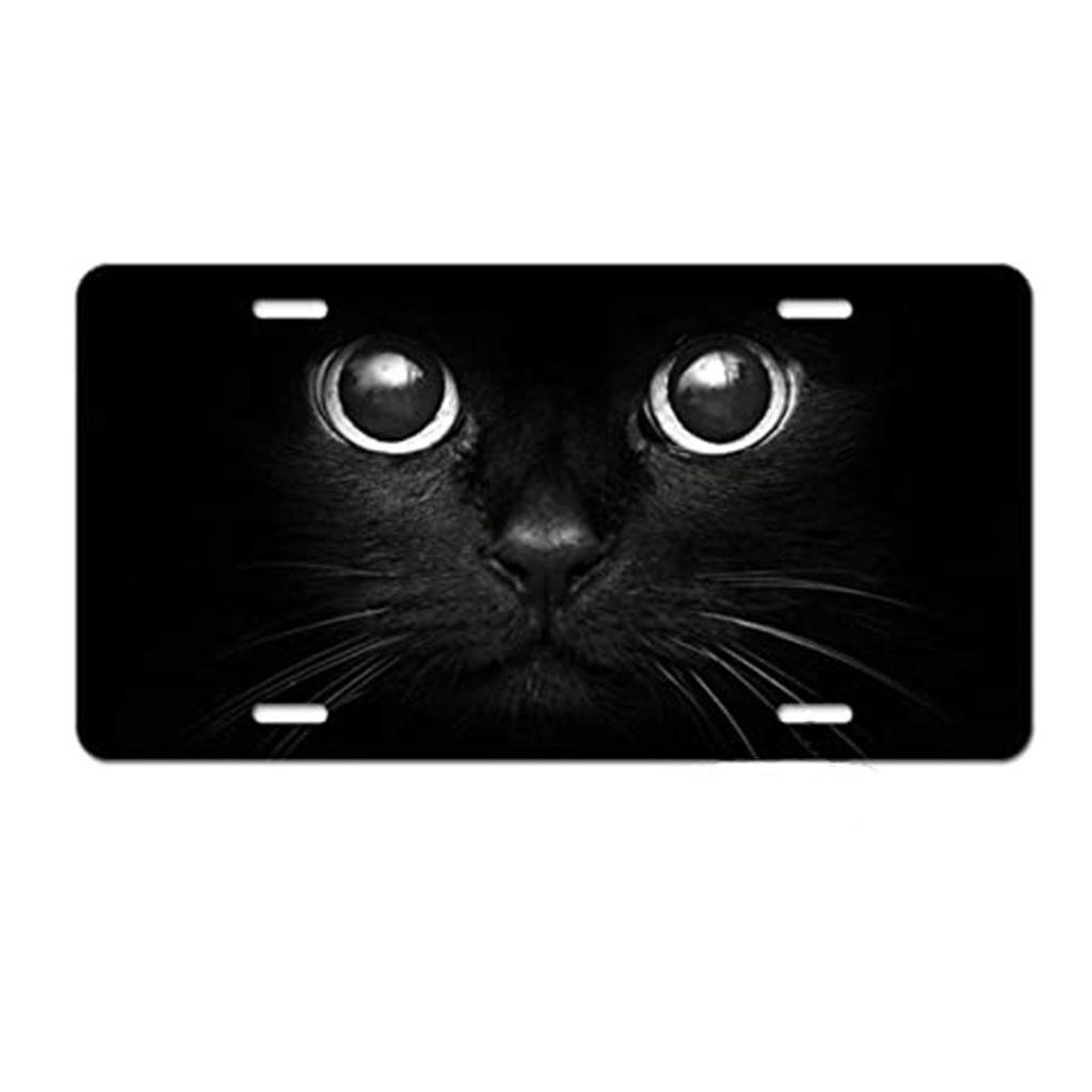 Sublimation Printed US Standard License Plate Metal Sign, 12x6 Inches, Hot-Selling Design
