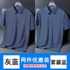 Pierre Cardin Men's Ice Silk Short Sleeve Polo Shirt