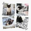 Cartoon Niedliches Pfotenmuster Hund Schlafdecke Super Weiche Plüsch Haustierdecke Warme Kuscheldecke für Hunde Katzen Welpen Decken für Couch Sofa Bett