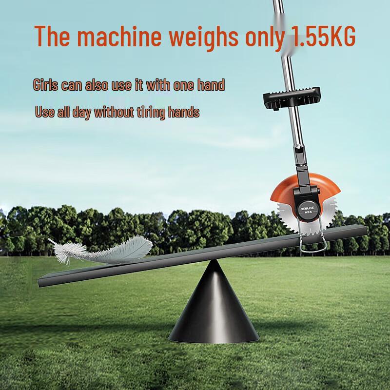 KEMAIC Cordless Handheld Electric Grass Trimmer with 2 Batteries CN plug (adapter included)