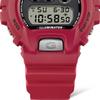 Casio Dw 6900tr 4jr [G Shock  G Shock  Dw 6900 30th Anniversary Models]