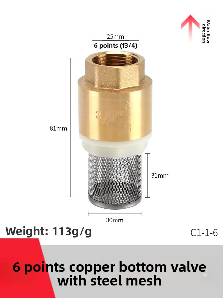 Copper Faucet Check Valve Self-priming Pump Inlet with Filter Anti Backflow Spring One-way Valves Insert Hose