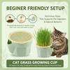 New Hydroponic Cat Grass Box Planter Reusable Easy To Grow Microgreens Growing Kit Hierarchical Design Cat Grass Growing Pot