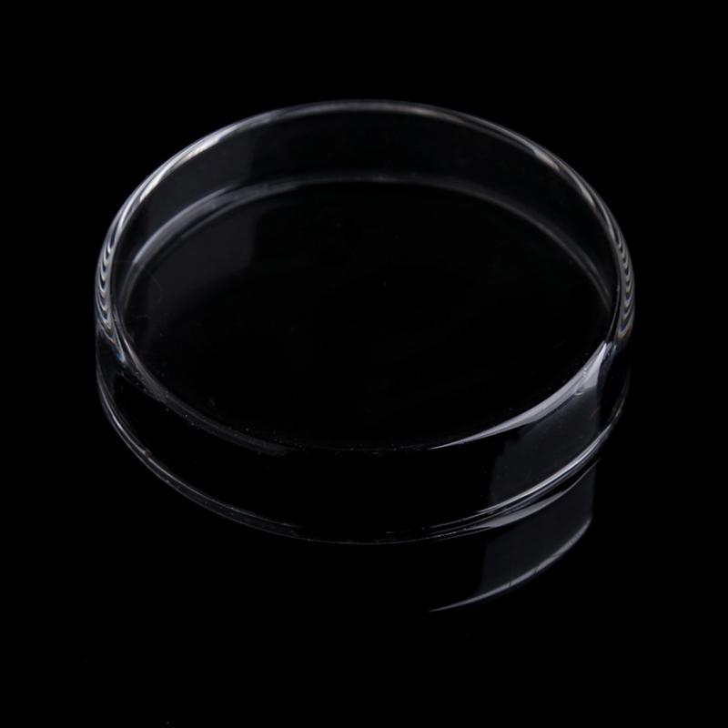 Shrimp Feeder Dish Clear Acrylic Bowls 2.4" x 0.6" Round Tray Aquarium Bowl