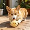 Palla Animale Peluche Cane Soffice Carino Coniglio Pulcino Palla Cani Giocattolo Masticabile Stridente Giocattolo Interattivo per Riportare Cucciolo Dentizione Allenamento all'Aperto