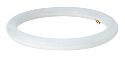 LED Circular Fluorescent Lamp Type AL-CT-18WD-TM