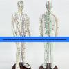 Model Uman pentru Practică de Acupunctură cu Puncte de Acupunctură și Meridiane Punct Model Masculin de Acupunctură Model Feminin de Acupunctură