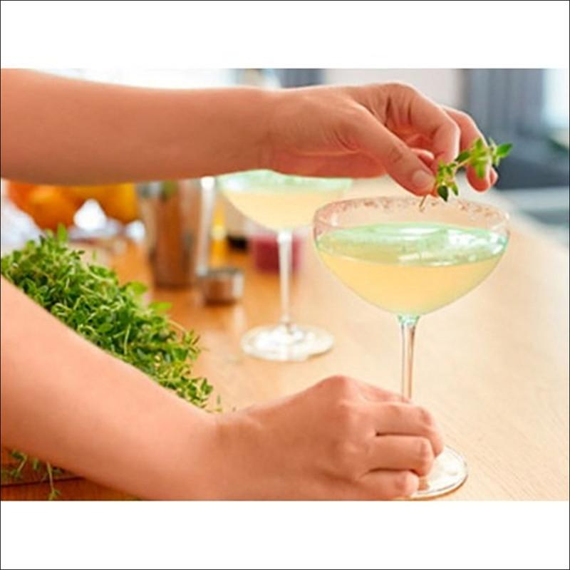 Teazen Chá Kombucha Mandarina Verde Lima 30 Sticks / Baixo em Calorias, Zero Açúcar, Prebióticos