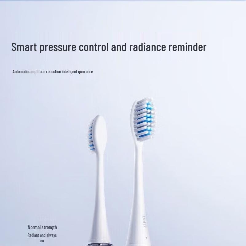 Panasonic Magnetic Levitation Sonic Electric Toothbrush CN Plug (adapter Included)