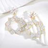 Modern Earrings With Fashionable Fringe For Women Summer Accessories