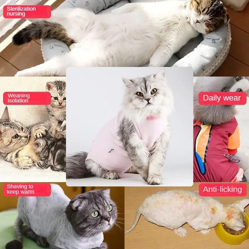 Cat Surgical Suit Postoperative Sterilization Suit Anti Licking and Anti Stripping Pet Summer Cat and Dog Universal Pet Clothing