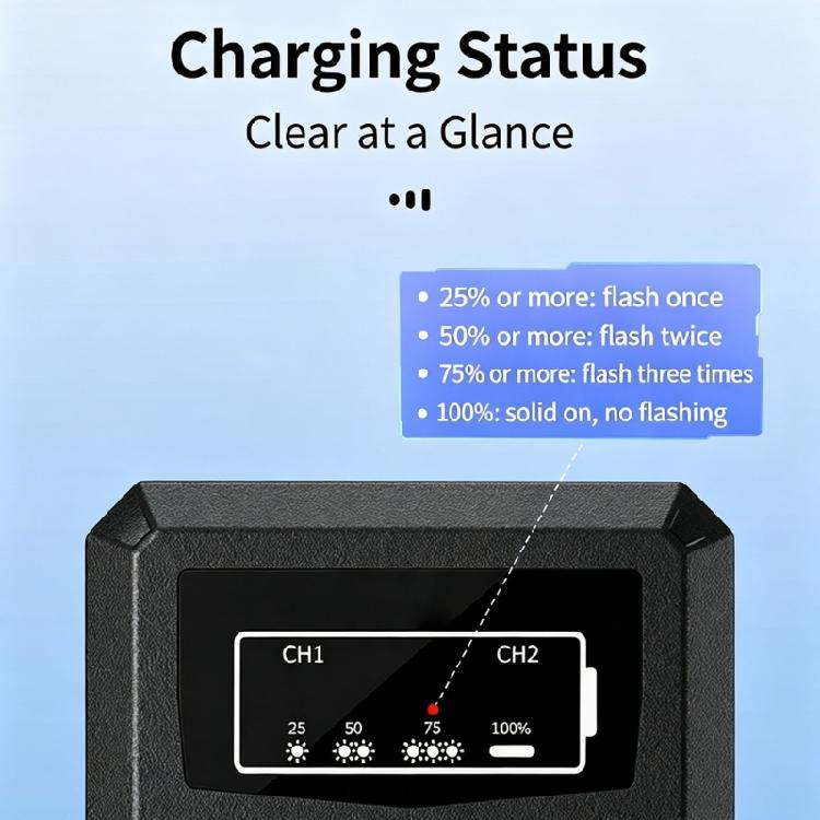 Camera Battery Charging Dock Featuring Two Distinct Bay Positions, a Front Display and 25/50/75/100 Status Numerals on a Black Charger Body
