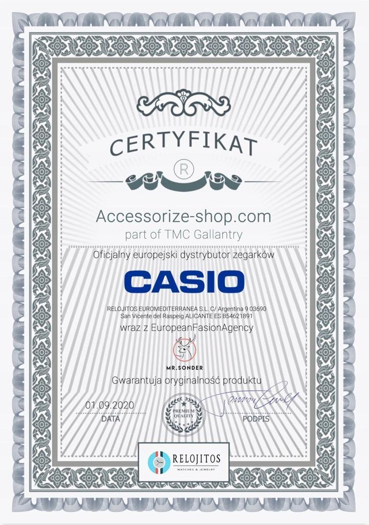 Zegarek CASIO DW-5000SS-1ER. Kwarcowy, Kolor szary. Mężczyzna.