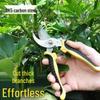 Stainless Steel Pruning Shears: Ideal for Garden & Horticulture, Perfect for Flower Pruning, Fruit Tree Trimming, and Fruit Picking.