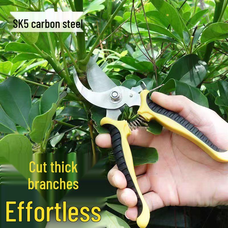 Stainless Steel Pruning Shears: Ideal for Garden & Horticulture, Perfect for Flower Pruning, Fruit Tree Trimming, and Fruit Picking.