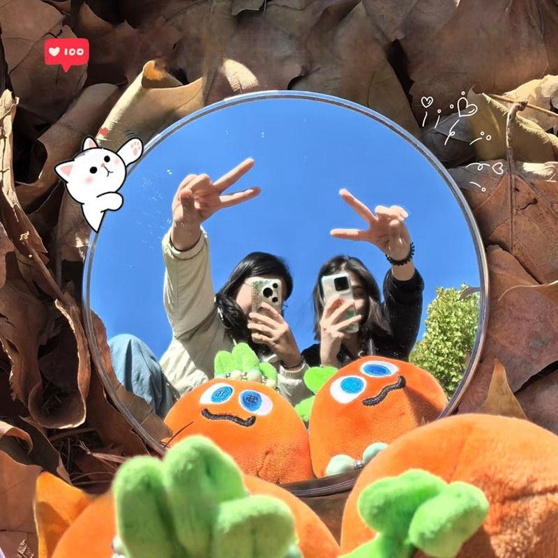 2Pcs Round Convex Mirror Travel Selfie Photo Props High-Definition Mirror Portable Makeup Mirror Handheld Photography Mirrors