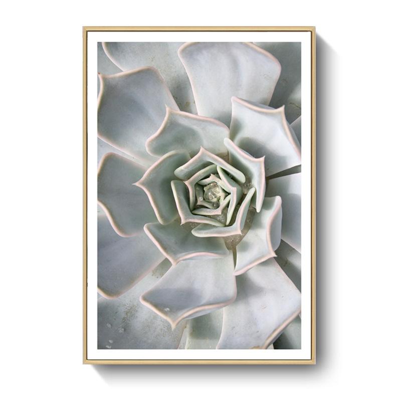 

Freash сочное зеленое растение, украшение для столовой, холст, картина, современное растение, украшение для отеля, дома, подвесное настенное искусство, Париж 21*30cm