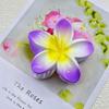 Plumeria Claw Clip: European & American Stylish Hair Accessory for Updos