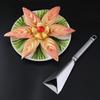 Stainless Steel Triangle Fruit Carving Knife & Apple Pusher