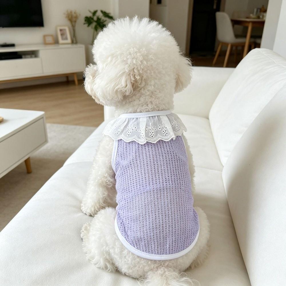 Thin Breathable Mesh Dog Vest Round Neck Dog Cooling Vest Cooling Pet Vest  Photography
