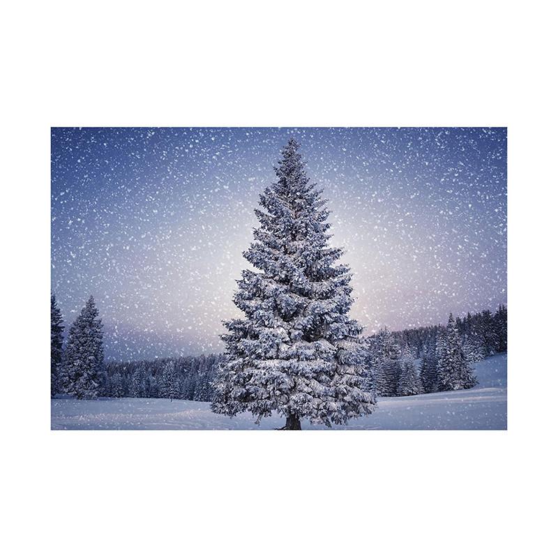 Winter Wonderland Themed Background,Christmas Photography Backdrop,for Parties and Holiday Photography Backdrops,Photo Studio