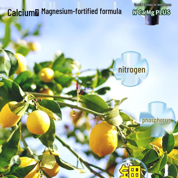 Výživový roztok bez ředění pro kyselomilné bonsaje a zelené rostliny