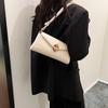 2024 Ny Tidlig vår Ny Arbeid Pendling Uformell Lett liten veske Fasjonabel liten firkantet veske for kvinner Nisje skulderveske