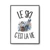 Poster Skiing Is Life | Photo Paper Poster 310 G Pearlescent Finish Size A2 | Wall Decoration Living Room Bedroom Office