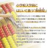 Tomoe Abacus Abacus 100 Abacus (ABA100C) Children's 100-bead [abacus]