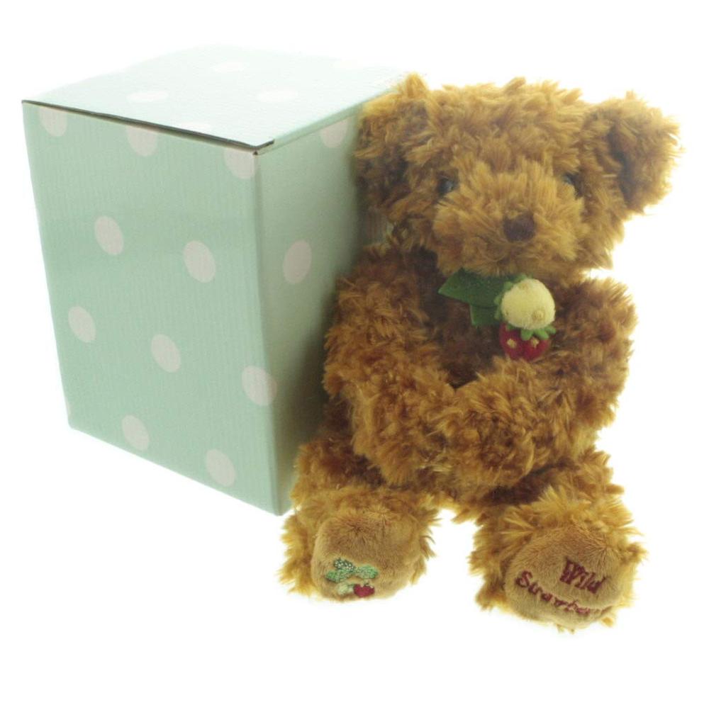 Take Off Plush Music Box Wild Strawberry Bear, Small, Brown