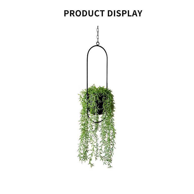 European Wrought Iron Hanging Hydroponic Planter for Spider Plants