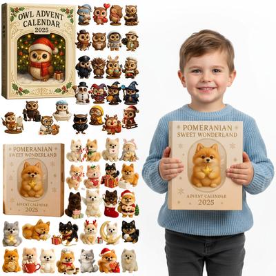 24 Days Christmas Countdown Calendar with 2D Acrylic Ornaments Christmas Advent Calendar Xmas Countdown Calendar Xmas Gifts