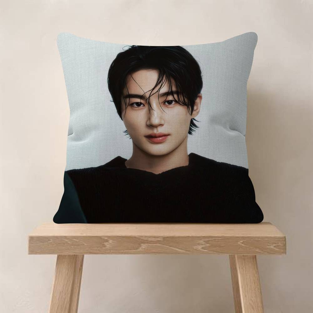 Korean Celebrity Byeon Wooseok   Cushion Cover Decorative Pillow Sofa Home Decor case pillow cases