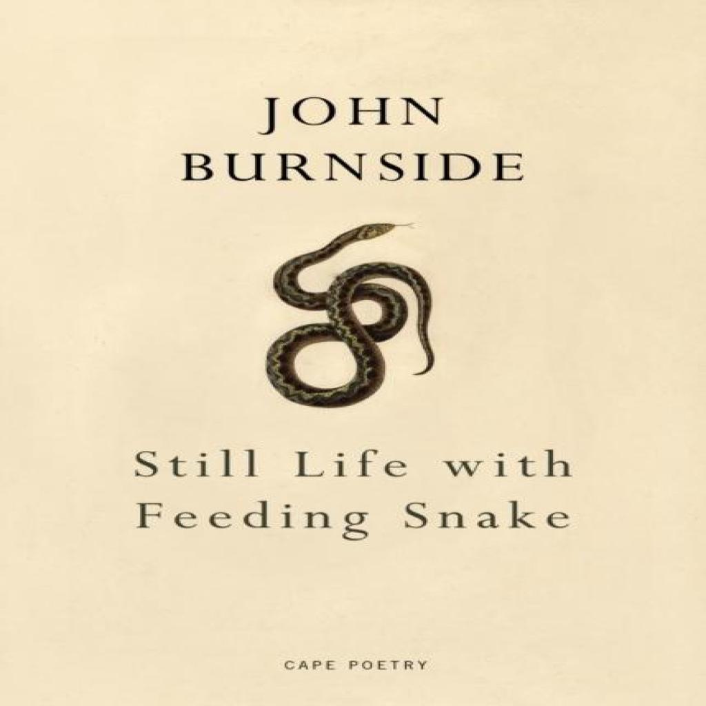Still Life with Feeding Snake by John Burnside Paperback Book 9781910702413