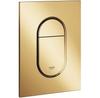 Flush Plate Arena Cosmopolitan S 37624GL0