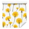 Dandelion Wallpaper White and Yellow for Living Room and Bedroom 50x1000
