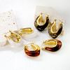 French Maillard Vintage Fashion U-shaped Resin Earrings Light Luxury High-end Stainless Steel Girls' Personalized Jewelry