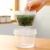 350ml Condiments Crisper Refrigerator Chopped Green Onion Storage Box, Scallion, Ginger and Garlic Drainage Fresh-keeping Box