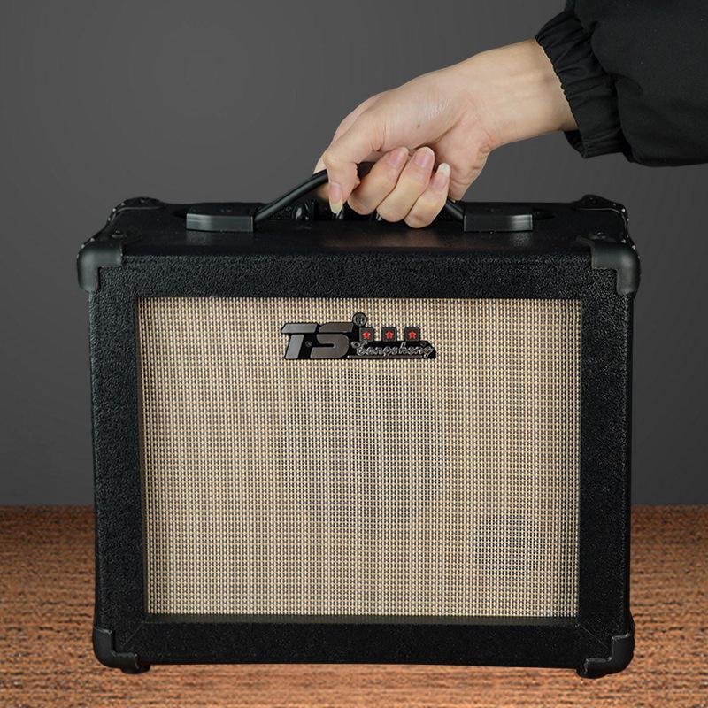 Portable Guitar Amp Saxophone Keyboard Acoustic Guitar Electric Wind Instrument Rechargeable for Outdoor Performance
