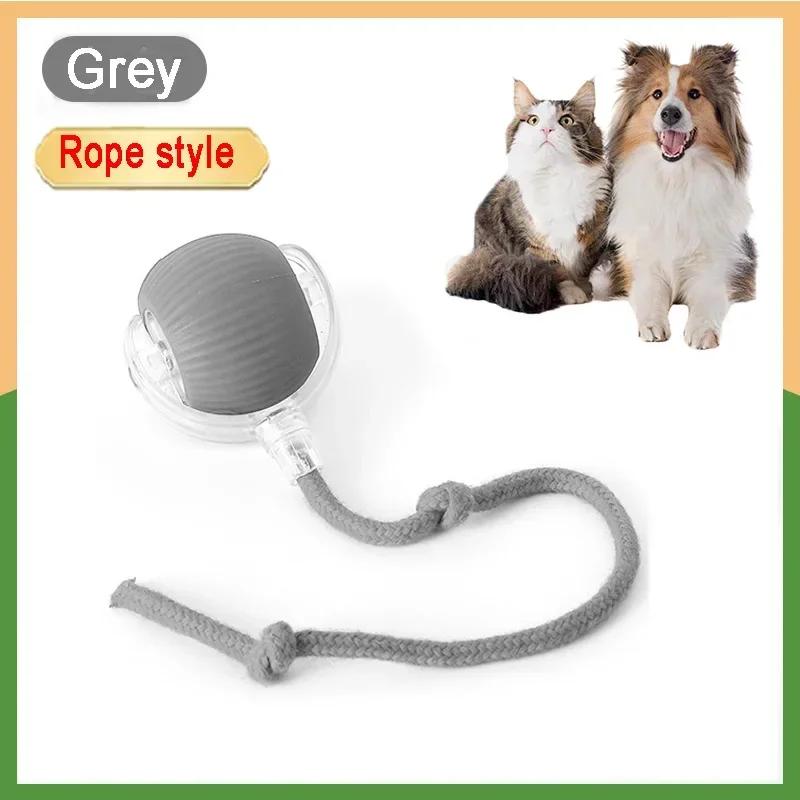 Rechargeable Pet Supplies Dog and Cat Training To Imitate Rat Pet Interactive Toys Electric Toy Ball Simulated Tail Home