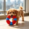 Dog Oral Care Toys Lifebuoy Ring Toy, Latex Squeaky Chew Teeth Pet Fetch Cleaning Toy for Aggressive Chewers, Interactive Training Small Medium Large