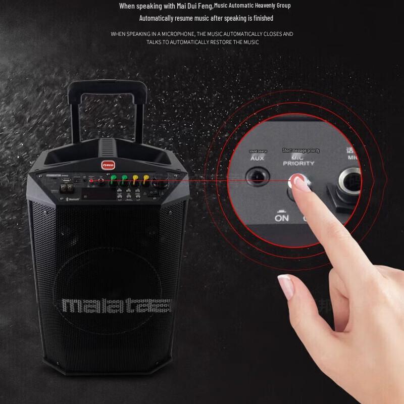 Malata Professional Portable Karaoke System CN plug (adapter included) (CN version)